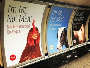 How Many Vegans Are In The World? - wtvox.com